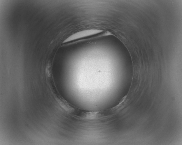 X0000068810090200605191818