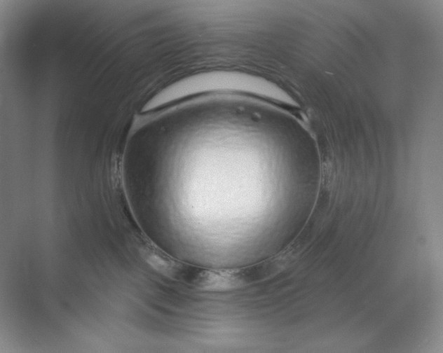 X0000068810093200605191818