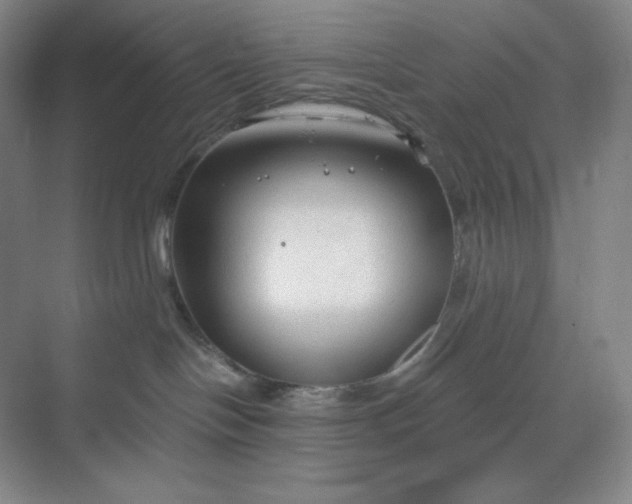 X0000068810094200605191818