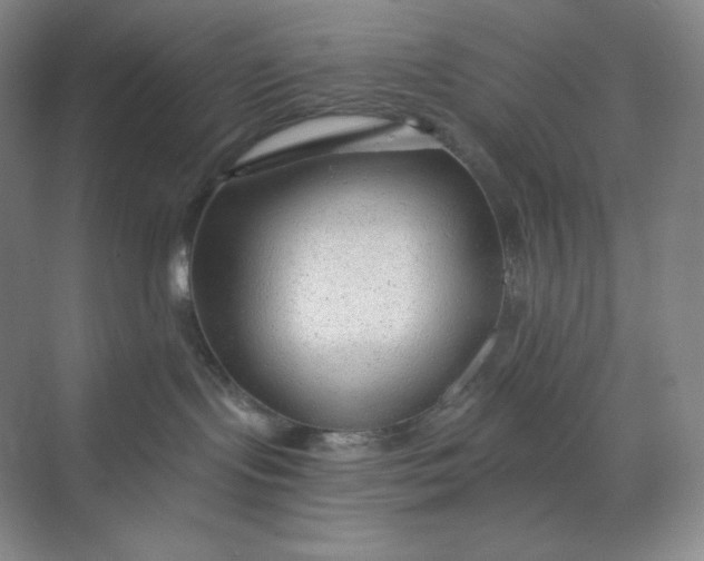 X0000068810095200605191818