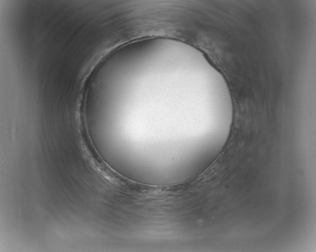 X0000068810098200605191817