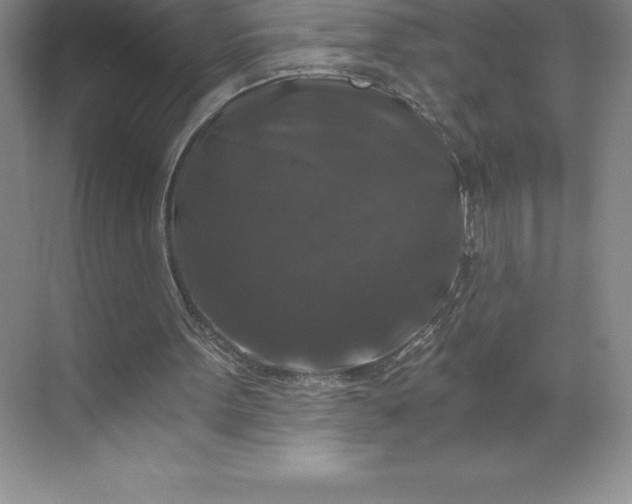 X0000068810099200605191817