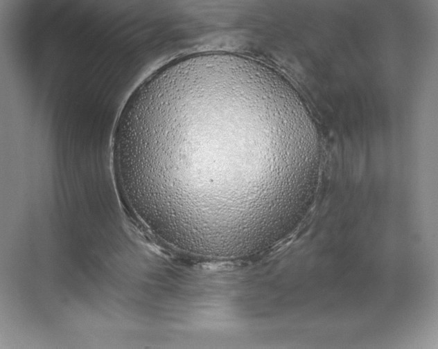 X0000068810100200605191817