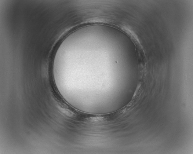 X0000068810108200605191817