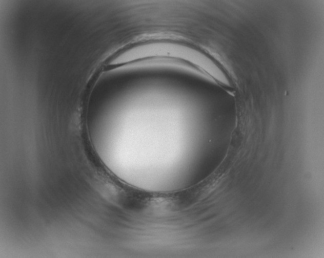 X0000068810111200605191817