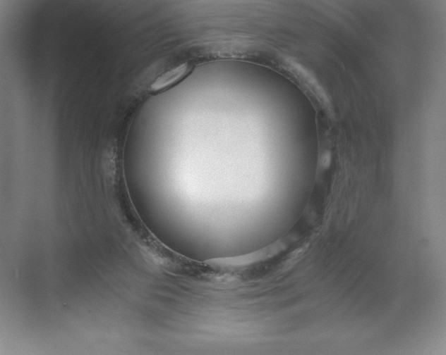 X0000068810113200605191817