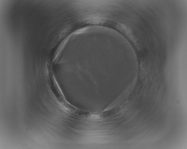 X0000068810114200605191817