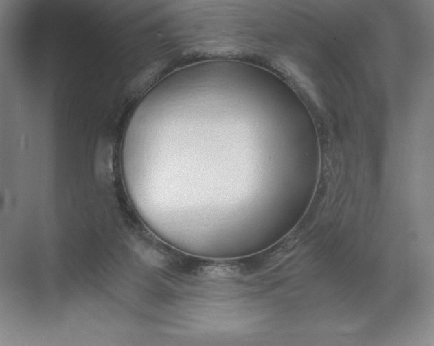 X0000068810115200605191817