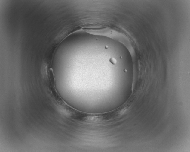 X0000068810117200605191817