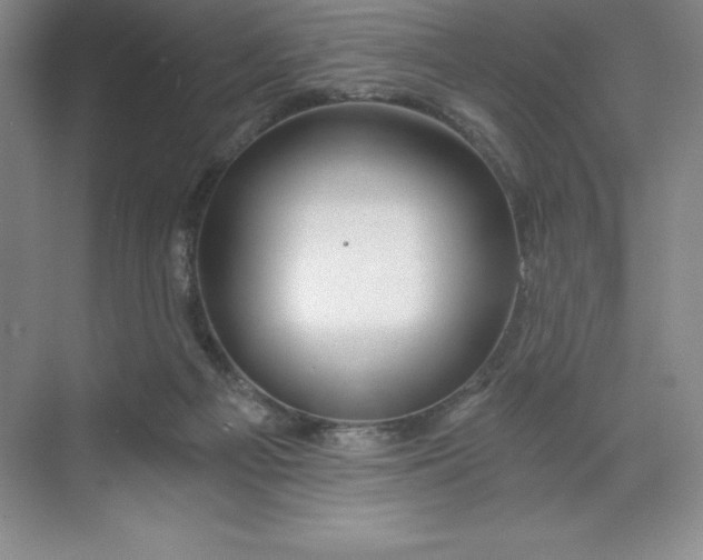 X0000068810121200605191817