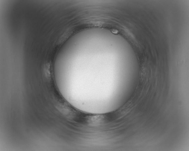 X0000068810122200605191817