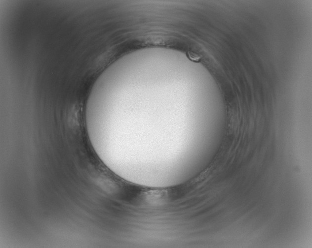 X0000068810126200605191817
