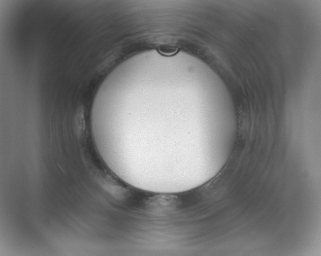 X0000068810128200605191817