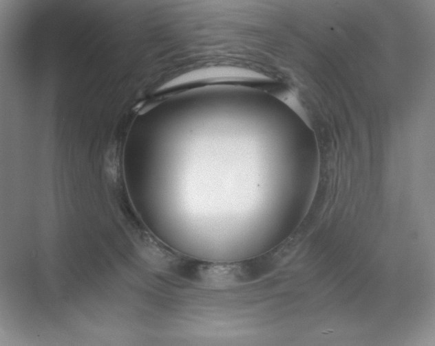 X0000068810129200605191817