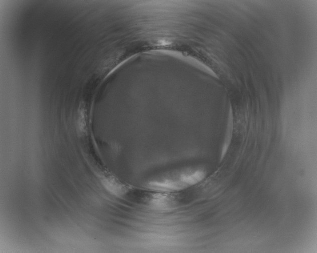 X0000068810130200605191817