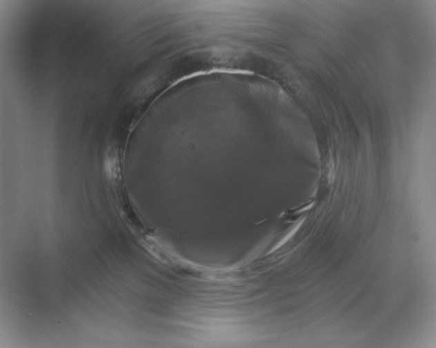 X0000068810137200605191817