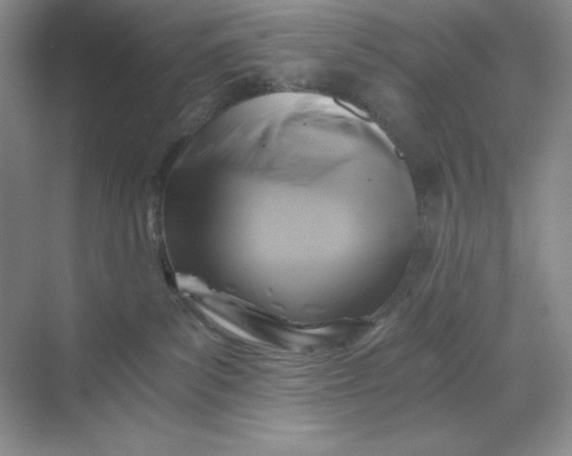 X0000068810139200605191817
