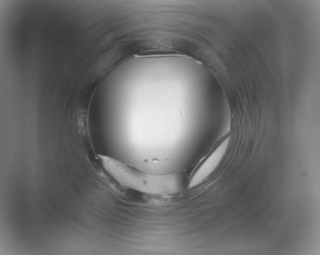 X0000068810141200605191817