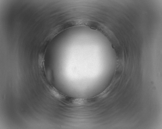 X0000068810142200605191817