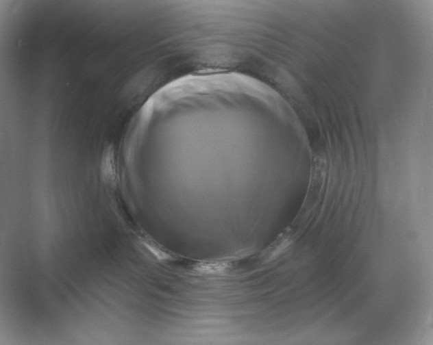 X0000068810143200605191817
