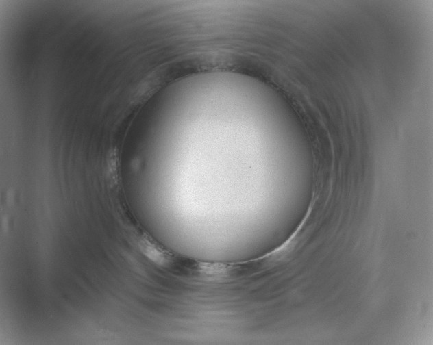 X0000068810144200605191817