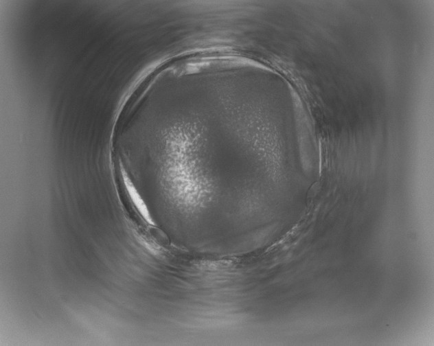 X0000068810147200605191816