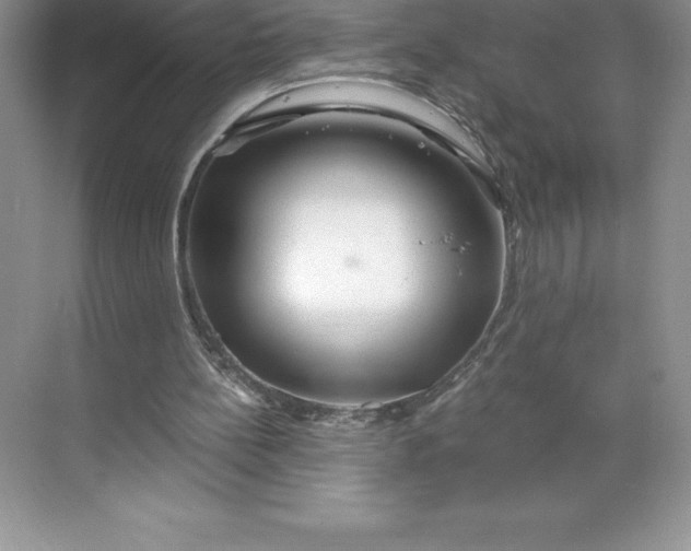 X0000068810148200605191816