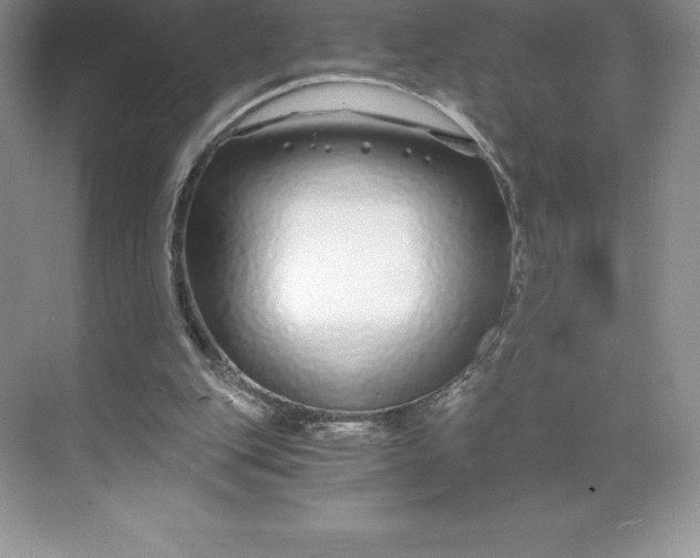 X0000068810151200605191816