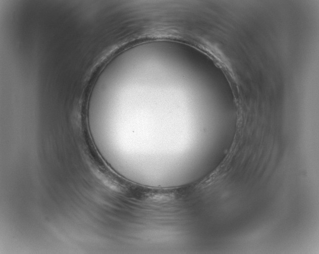 X0000068810155200605191816