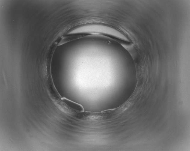 X0000068810158200605191816