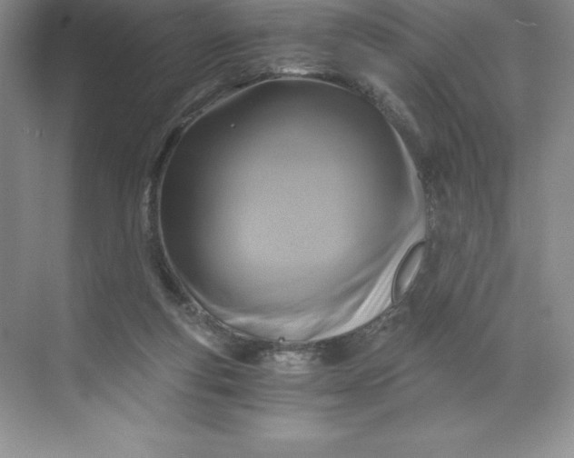 X0000068810163200605191816