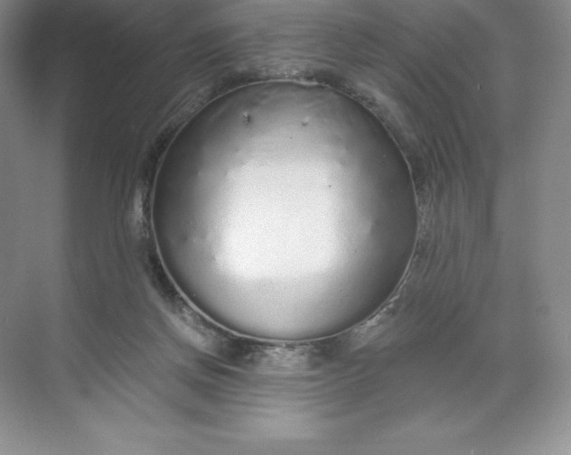 X0000068810166200605191816