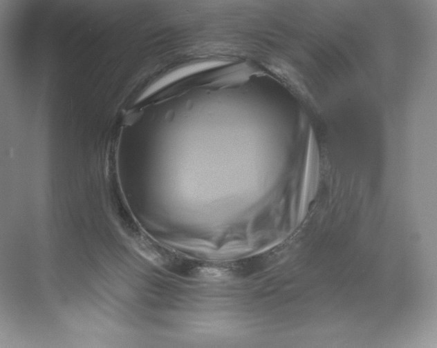 X0000068810167200605191816