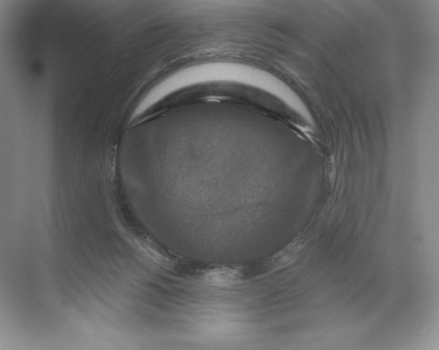 X0000068810168200605191816