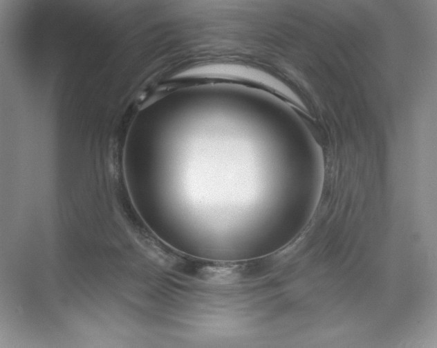 X0000068810170200605191816