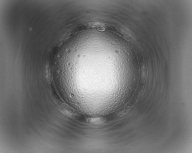 X0000068810173200605191816