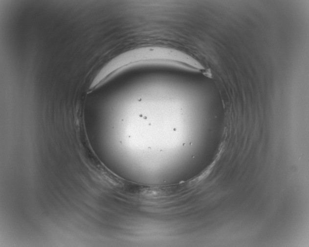 X0000068810174200605191816