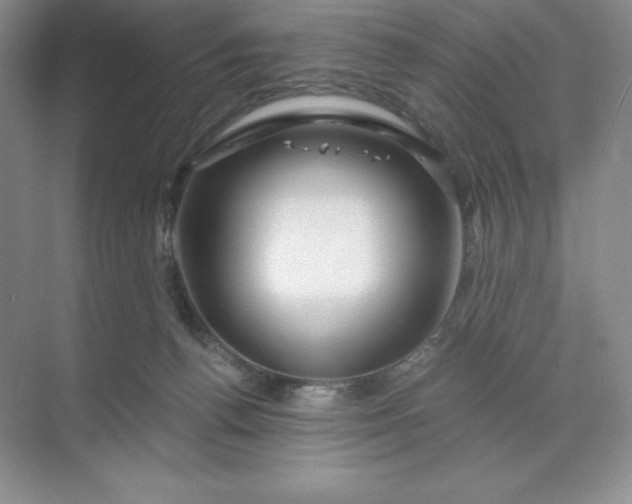 X0000068810176200605191816