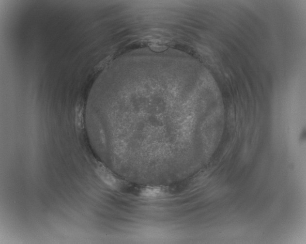X0000068810177200605191816