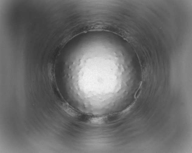 X0000068810178200605191816