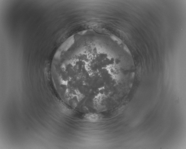 X0000068810181200605191816