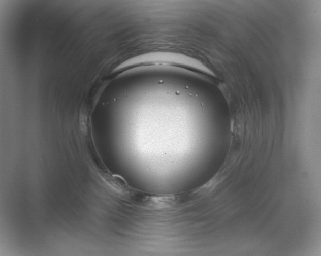 X0000068810188200605191817