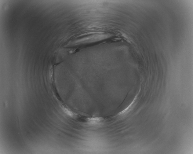 X0000068810192200605191817