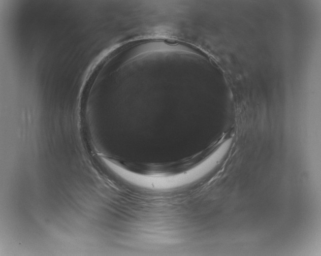 X0000068810200200605191816