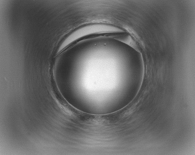 X0000068810201200605191816