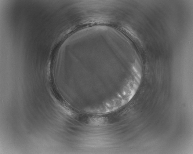X0000068810202200605191816