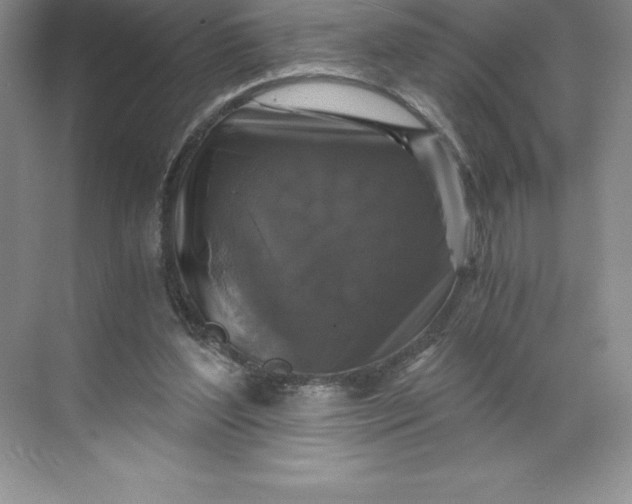 X0000068810204200605191816