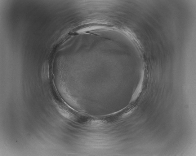 X0000068810205200605191816