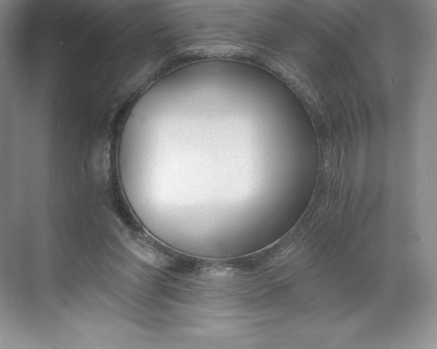 X0000068810206200605191816