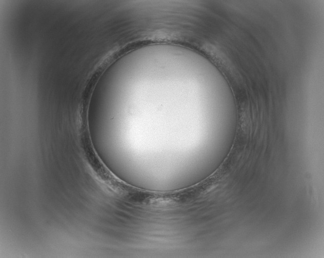 X0000068810208200605191815